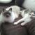 Katze2410