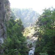 Naturfreundin