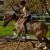 Avency12