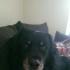 Archimedes