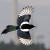 Magpie