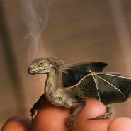 der_drachenlaeufer
