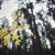 Ines_Mueller