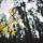 Ines_Mueller