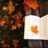 doodle_books