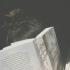 bookwonderland_c