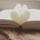 rabbitbooks