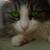 Kitty18Kat