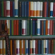 Bibliomarie