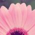 zeina_abd