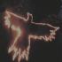 Bloody Crow