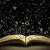 Sheila_Bibliophil