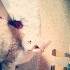 Lovely_Lila