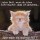 Nicecat