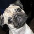 Becky_Bloomwood