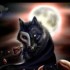 Darkwolf89