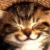 Happy