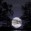 LadyMoonlight2012