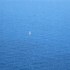 Mediterranee