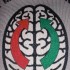 Synapse11
