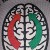Synapse11