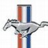 Wildpony