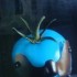 blue_tomato