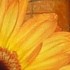 lilliblume