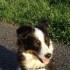 nuesschen007