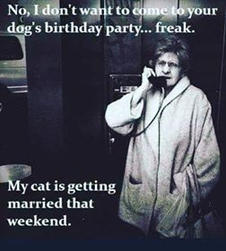 Bild könnte enthalten: 1 Person, Text könnte möglicherweise lauten: „No, I don't want to come to your dog's birthday party... freak. My cat is getting married that weekend.“