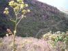 8-zur-Sciara-del-fuoco-4-140407