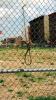 Bild-089-Harlem-Schlinge