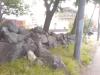 DSC000202