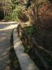 DSC00793