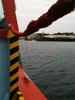 Guernsay-7