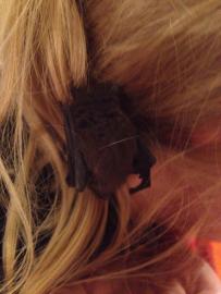 Im-Haar