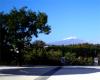 Sizilien-Bild-37-Catania-Villa-Bellini