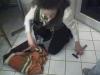 Titanie-sucht-Werkzeug-fuer-den-Sponsor-240307