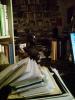 Ungeoeffnete-Post-100308-