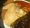 Gustav Klimt Danae