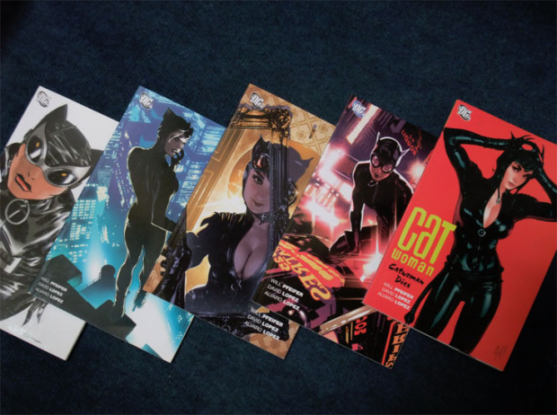 wordpress catwoman