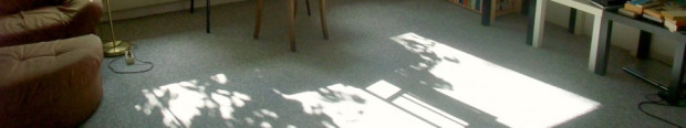 cropped-stefan-mesch-buchtipps-zeit-online.jpg