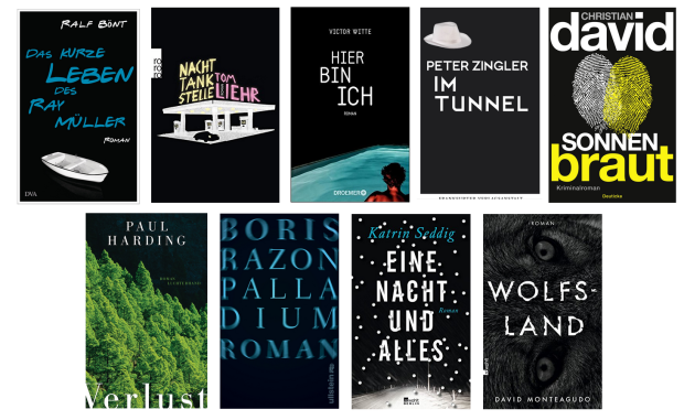 buchcover 2015 - schwarz und eine starke Farbe