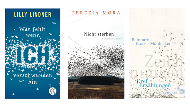 buchcover 2015 - sterblichkeit und vogelschwärme