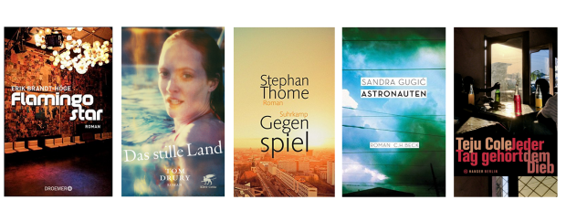 buchcover 2015 - tolles Licht