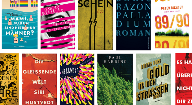 buchcover 2015 wordpress