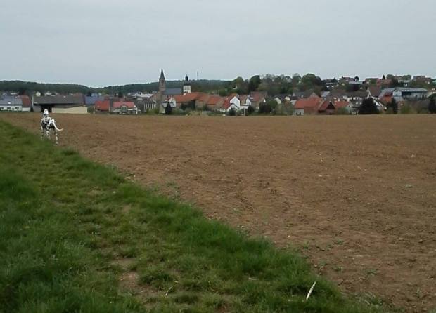 09 Achim Reibach