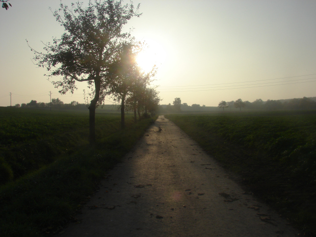 DSC04290