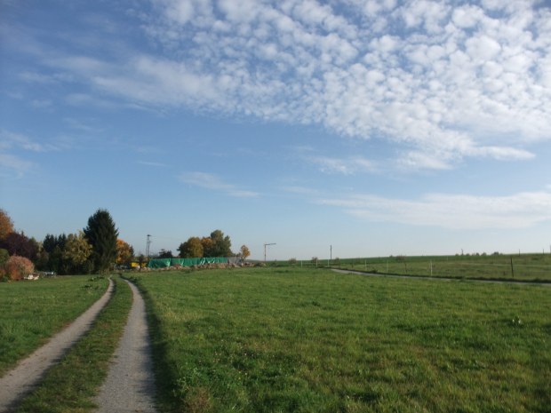 DSCF6144