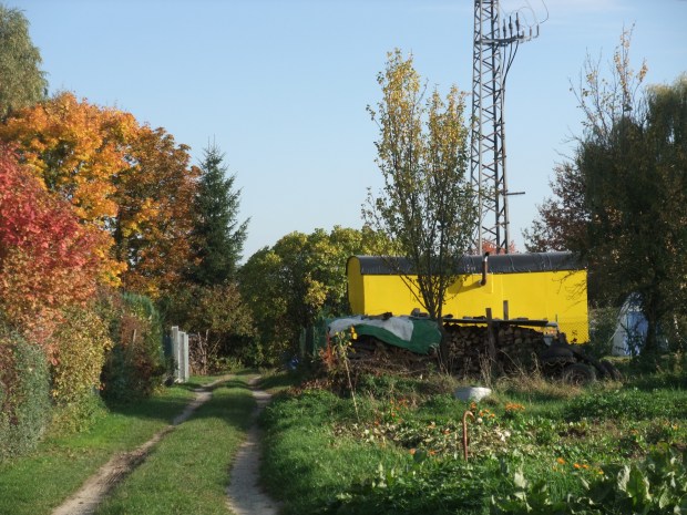 DSCF6167